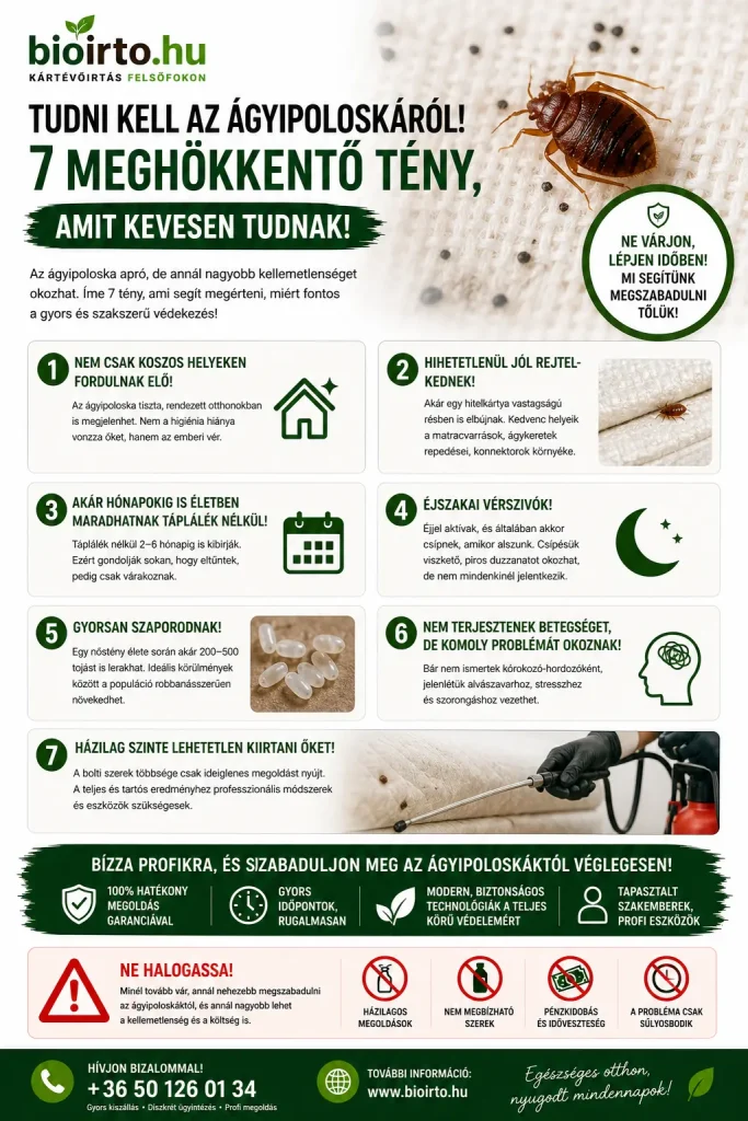 tudni kell az ágyipoloskáról